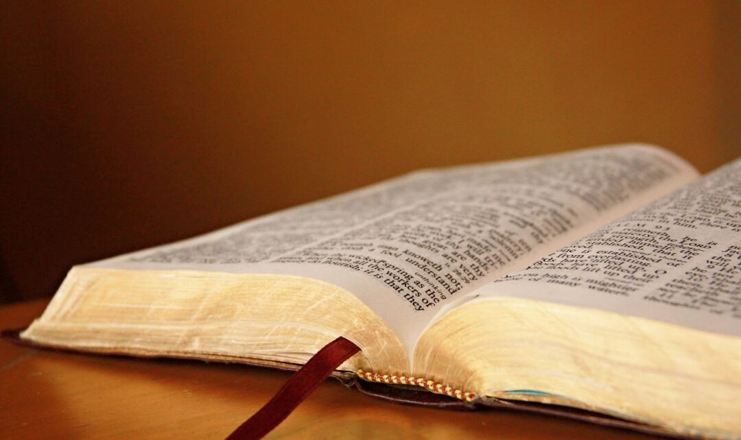 Arabic Bible Study Online